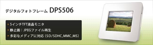 DPS506